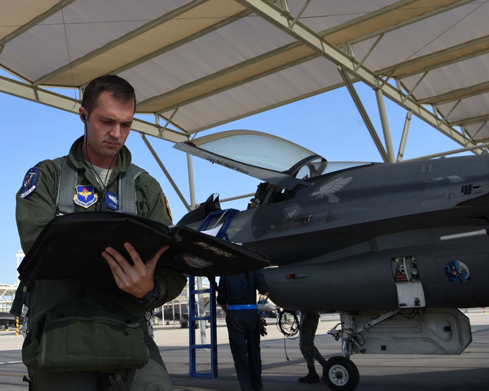 Mission Highlight: 309th Fighter Squadron