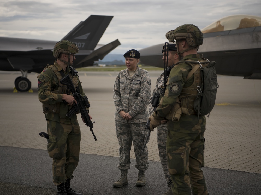 F-22s train with Royal Norwegian air force