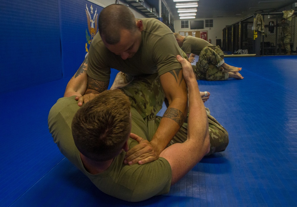 Army Reserve Best Warriors and Drill Sergeants of the Year Practice Combatives
