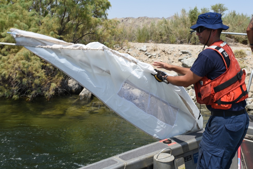 Coast Guard patrols Colorado River during regatta