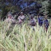 CERFP conducts SAR simulations with the St. Kitts and Nevis Fire Rescue Services