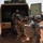 Combat Medics Conduct Life-like Combat Casualty Care During Operation Hickory Sting Combat Medics Conduct Life-like Combat Casualty Care During Operation Hickory Sting