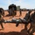 Combat Medics Conduct Life-like Combat Casualty Care During Operation Hickory Sting Combat Medics Conduct Life-like Combat Casualty Care During Operation Hickory Sting
