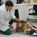 VMCE treats injured MWD