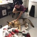 VMCE treats injured MWD