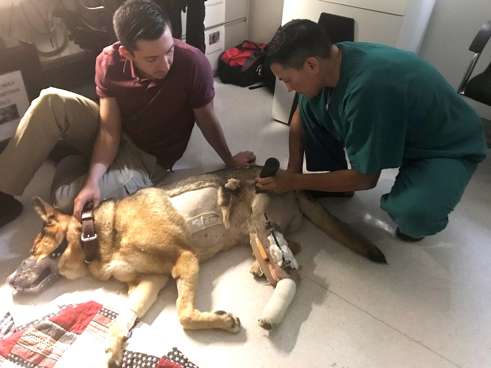 VMCE treats injured MWD