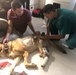 VMCE treats injured MWD