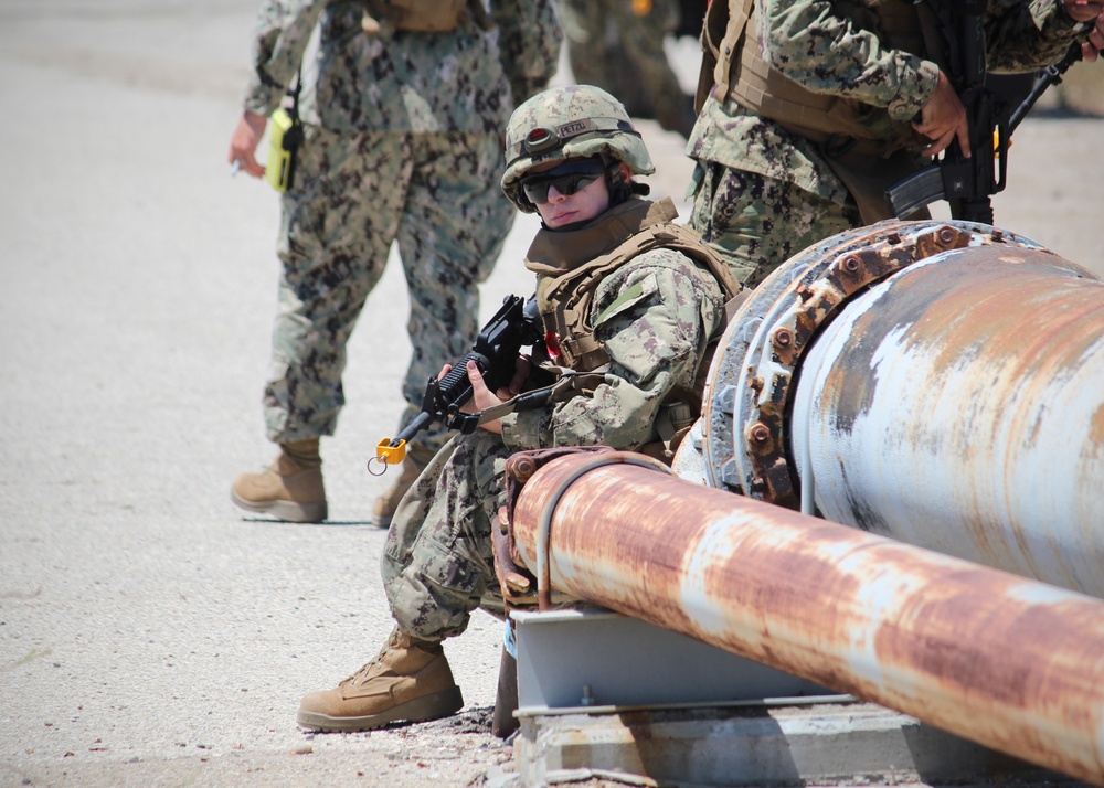 CECOS Students Participate in FTX