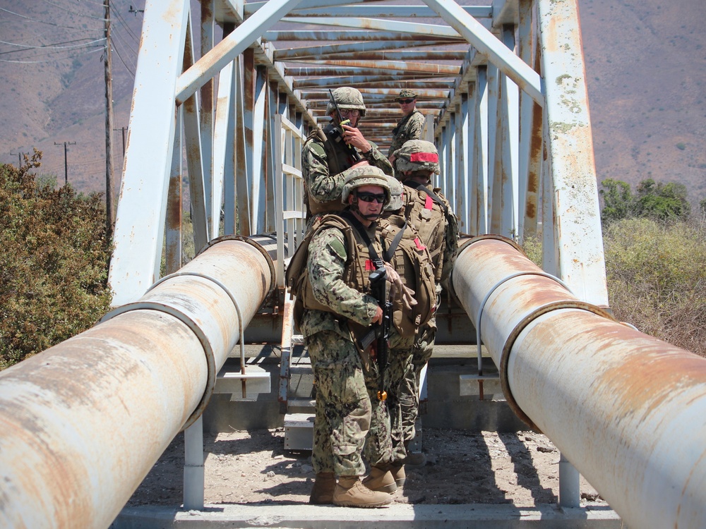 CECOS Students Participate in FTX