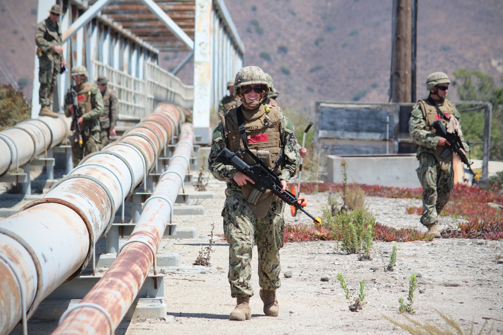 CECOS Students Participate in FTX