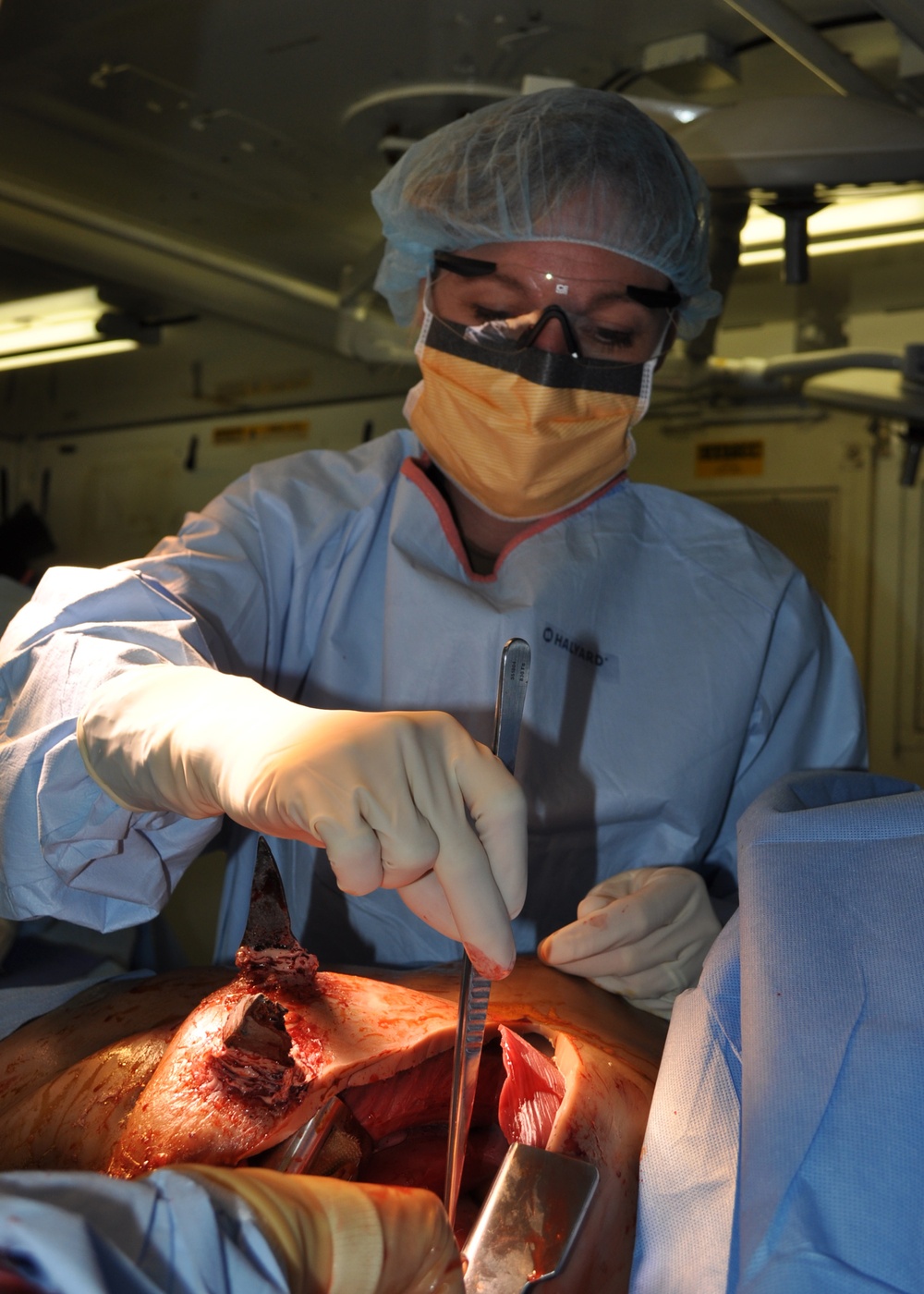 NEMTI completes streamlined EMF training