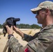 New Jersey Guard and Albanian snipers train together