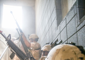 59BDE Confirmatory Activity