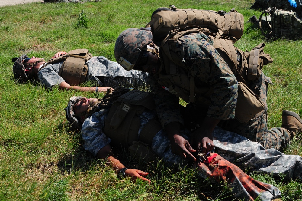U.S. and NATO Forces Conduct Exercise Black Lion and Caduceus