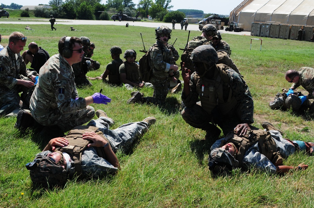 U.S. and NATO Forces Conduct Exercise Black Lion and Caduceus