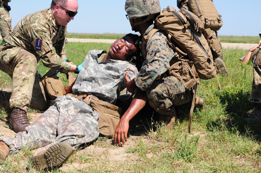 U.S. and NATO Forces Conduct Exercise Black Lion and Caduceus
