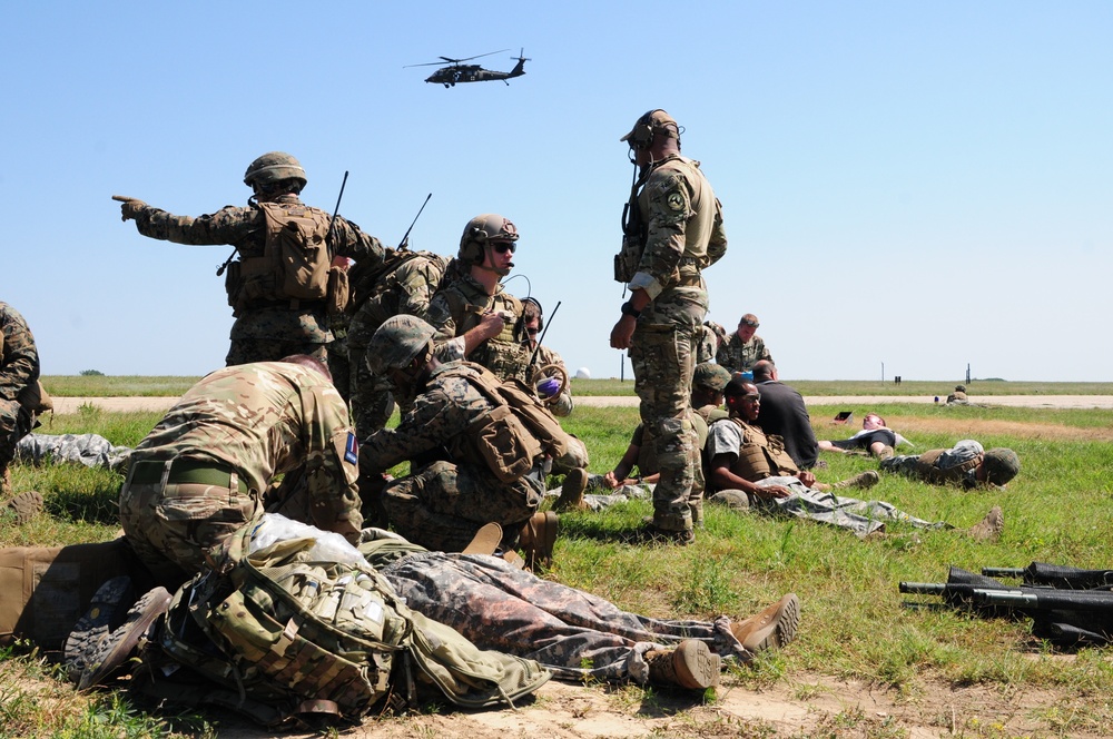 U.S. and NATO Forces Conduct Exercise Black Lion and Caduceus
