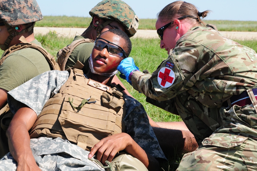 U.S. and NATO Forces Conduct Exercise Black Lion and Caduceus