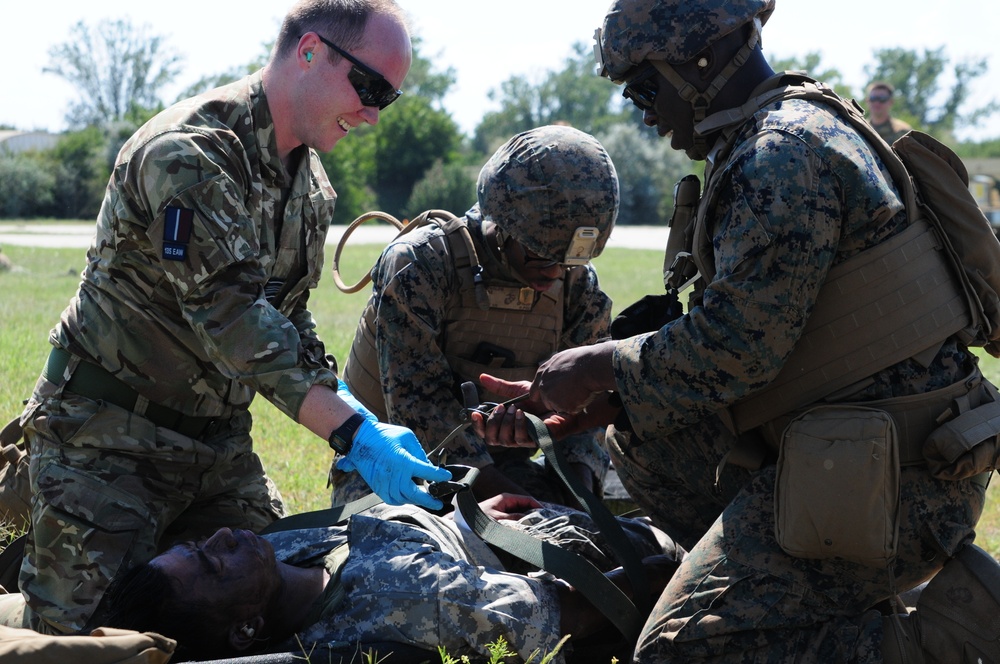 U.S. and NATO Forces Conduct Exercise Black Lion and Caduceus