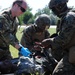U.S. and NATO Forces Conduct Exercise Black Lion and Caduceus