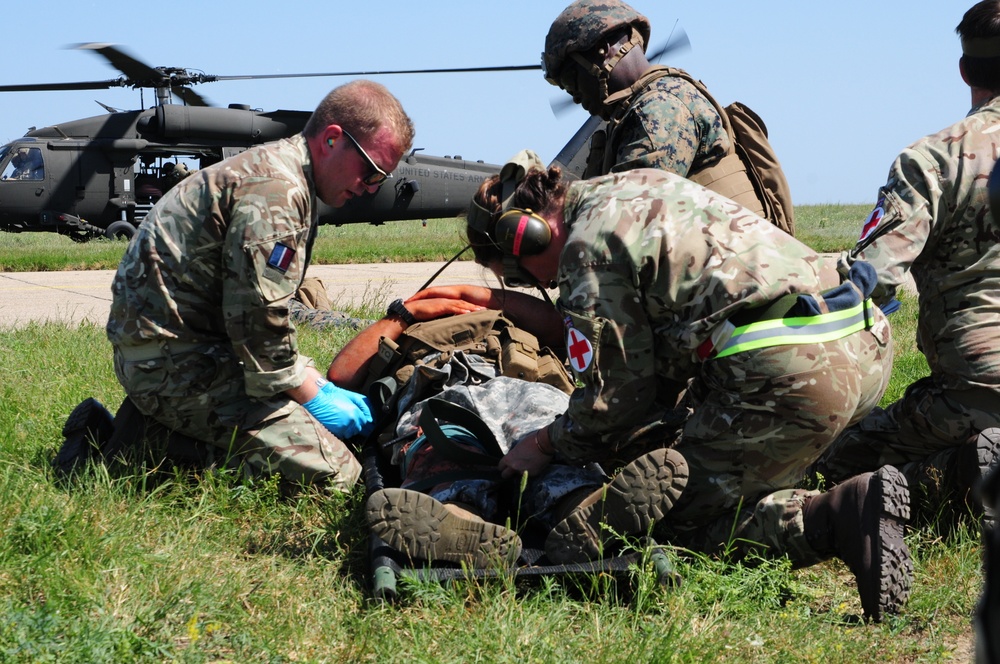 U.S. and NATO Forces Conduct Exercise Black Lion and Caduceus