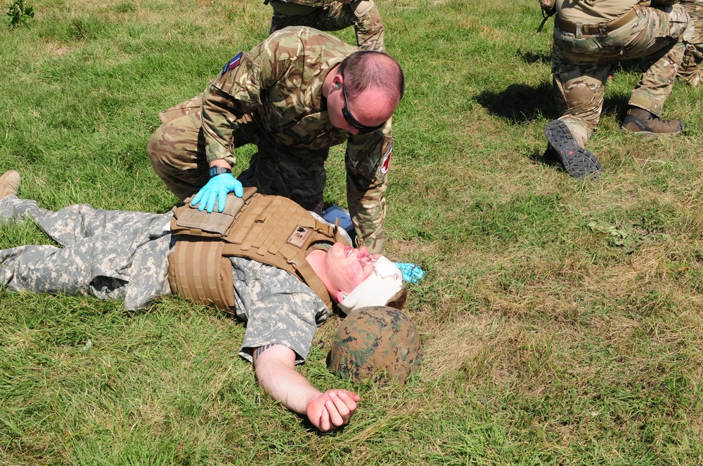 U.S. and NATO Forces Conduct Exercise Black Lion and Caduceus