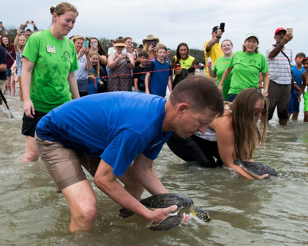 Brig. Gen. Wayne Monteith release sea turtle