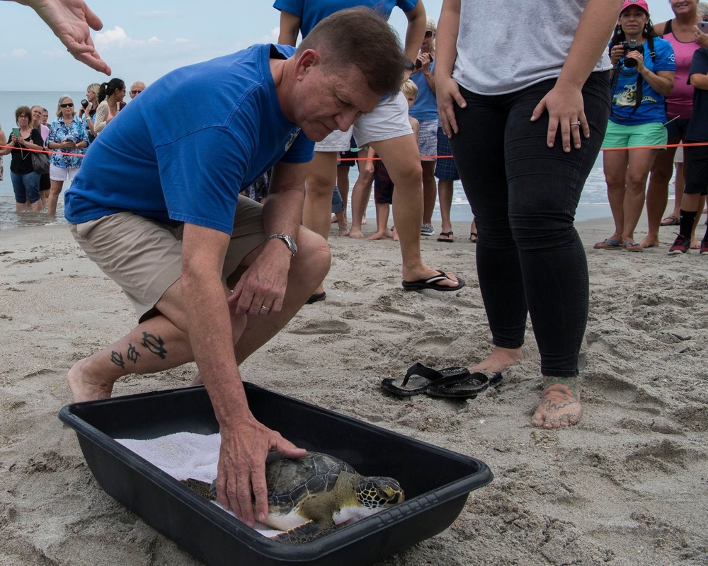 Brig. Gen. Wayne Monteith releases sea turtle