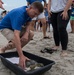 Brig. Gen. Wayne Monteith releases sea turtle