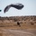 Reconnaissance Marines conduct military free fall training in Arizona