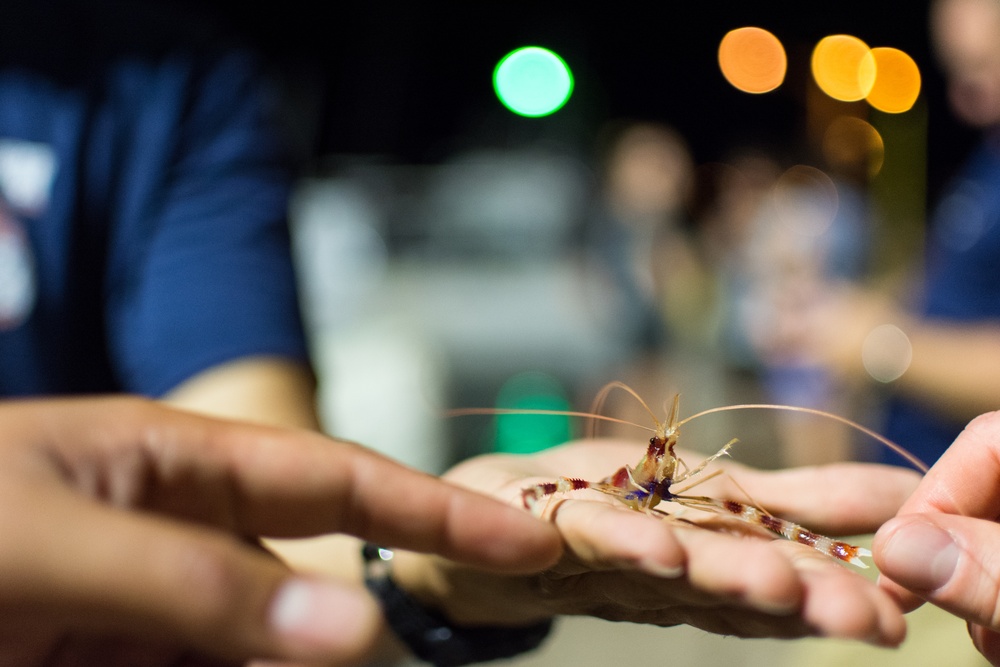 Tropic Care Maui County 2018: Molokai