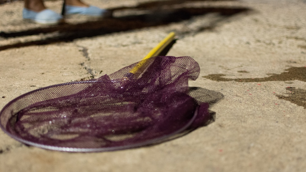 Tropic Care Maui County 2018: Molokai