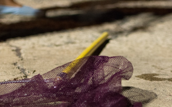 Tropic Care Maui County 2018: Molokai