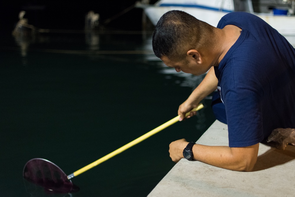 Tropic Care Maui County 2018: Molokai