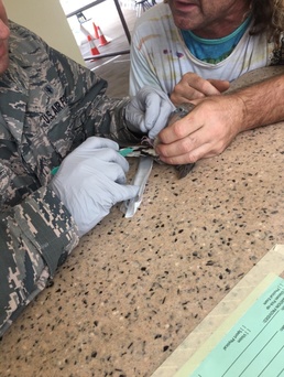 Air Guard nurse practitioner rescues bird