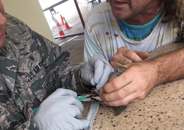 Air Guard nurse practitioner rescues bird