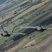 Raptors fly over Poland