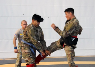 2018 U.S. Army Europe Best Warrior Competition Combatives