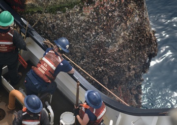 Coast Guard Cutter Fir crewmembers observe the marine growth on a whistle buoy in Panama