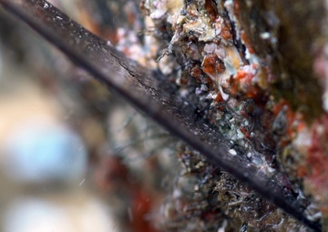 A Coast Guard Cutter Fir crewmember scrapes off barnacles and marine growth from a whistle buoy