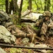 New York National Guard Soldiers hone infantry skills during Camp Smith Training