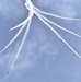 Blue Angels Perform at Seafair 2018