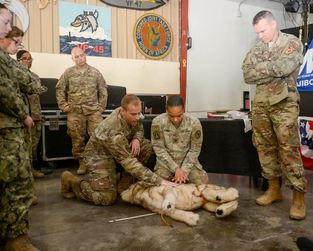 Camp Lemonnier holds K-9 casualty care training