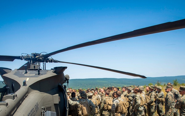 Platinum Lion: Casualty Evacuation