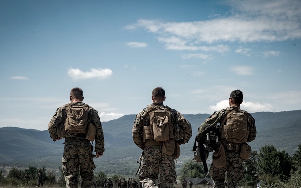 Platinum Lion: Casualty Evacuation