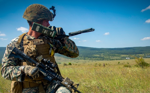 Platinum Lion: Casualty Evacuation