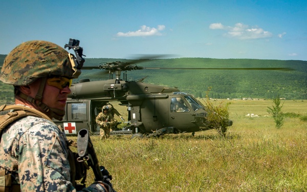 Platinum Lion: Casualty Evacuation