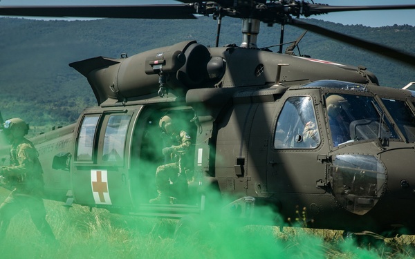 Platinum Lion: Casualty Evacuation