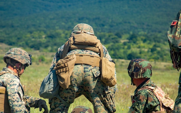 Platinum Lion: Dead Gunner Drills