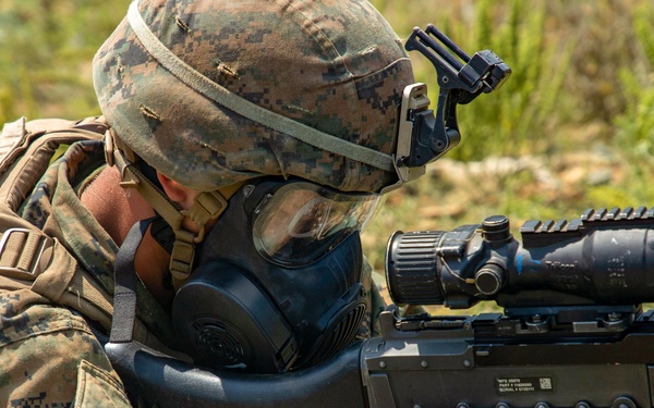 Platinum Lion: Dead Gunner Drills